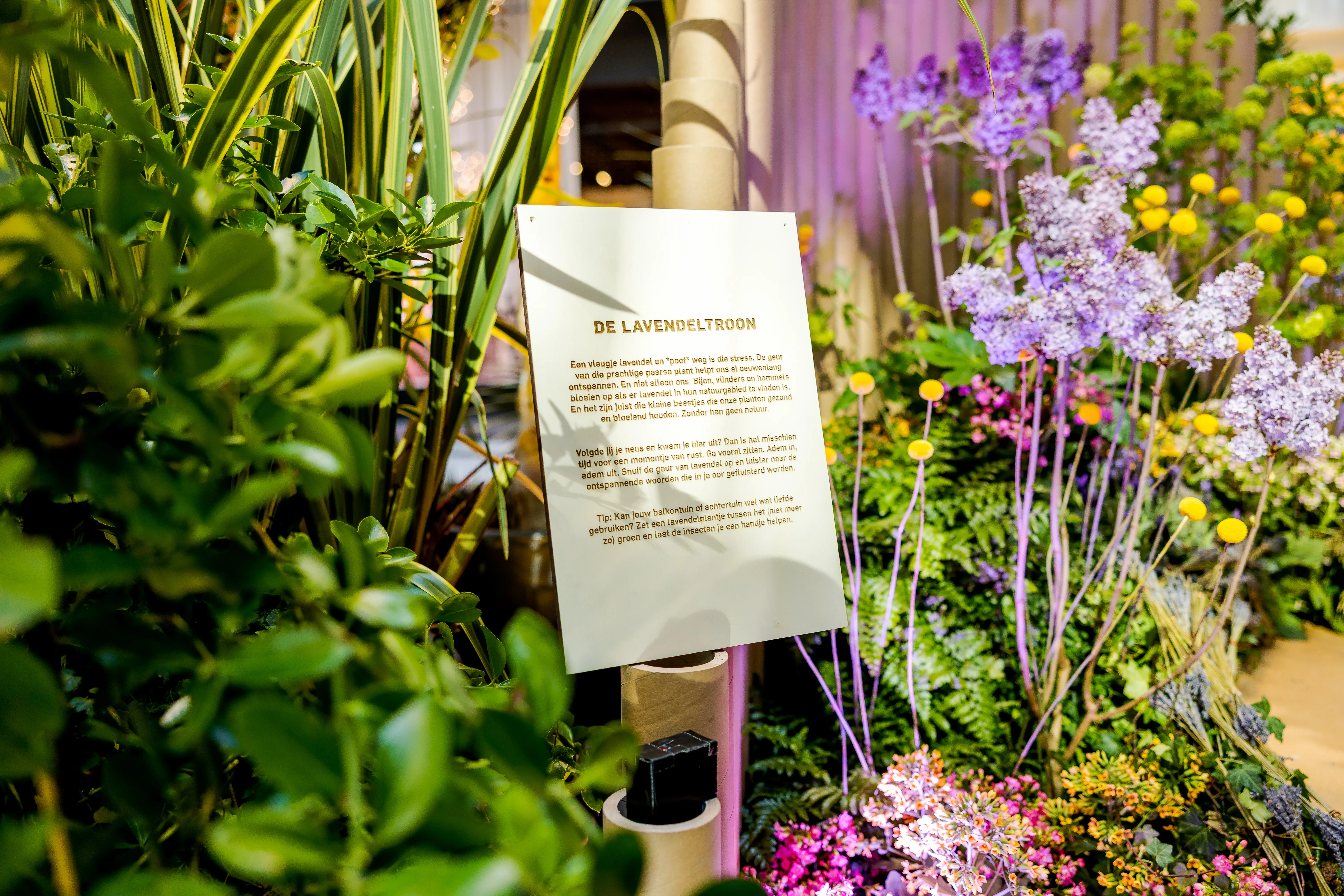 A circular pop-up experience for Westfield's anniversary
